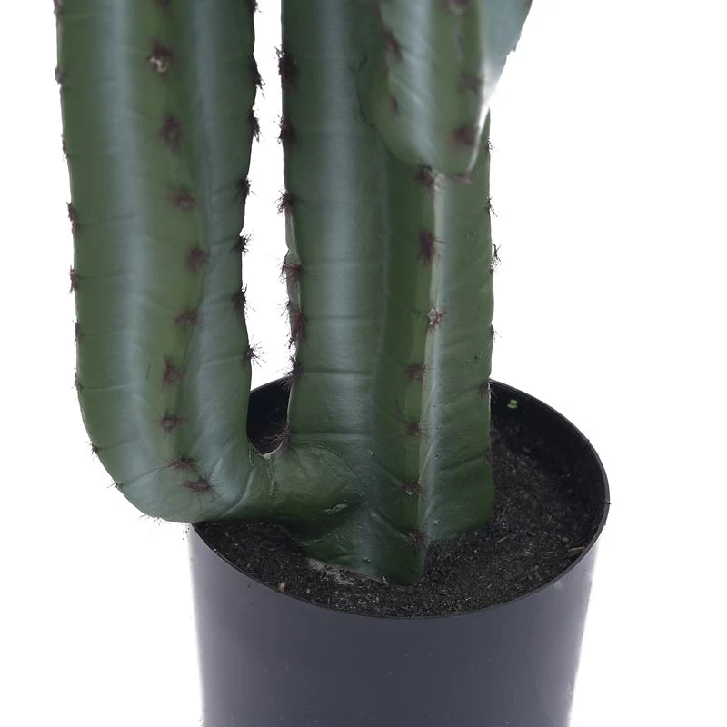 tall fake cactus plant