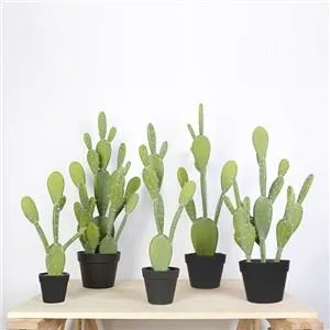 人工サボテン鉢植え植物